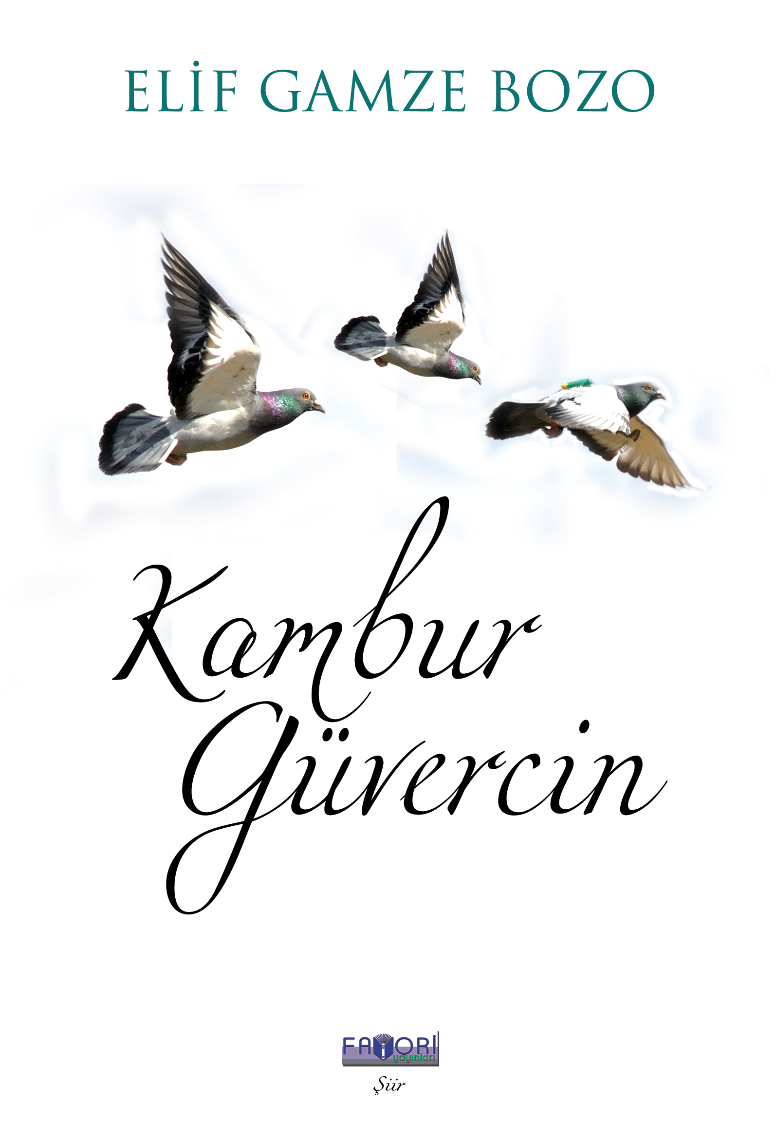 Kambur Güvercin – Elif Gamze Bozo